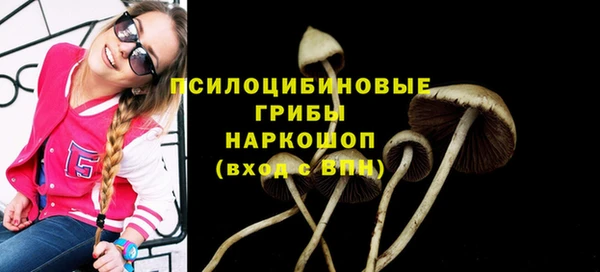 прущий лед Богородск