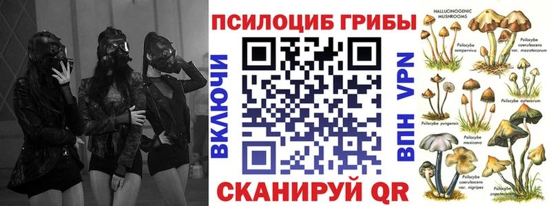 Псилоцибиновые грибы Cubensis мега онион Верхнеуральск